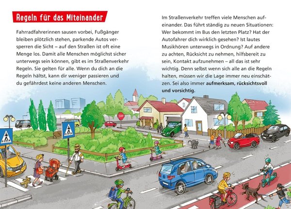 Pixi Wissen Band 80 Sicher im Straßenverkehr