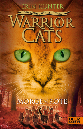 Warrior Cats Staffel 2 Band 3 Morgenröte