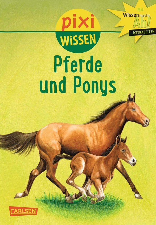 Pixi Wissen Band 1 Pferde und Ponys Ab 6 Jahren