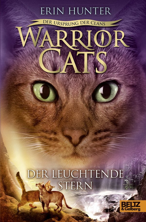 Warrior Cats Staffel 5 Band 4 Der Leuchtende Stern