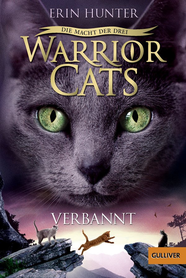 Warrior Cats Staffel 3 Band 3 Verbannt Taschenbuch