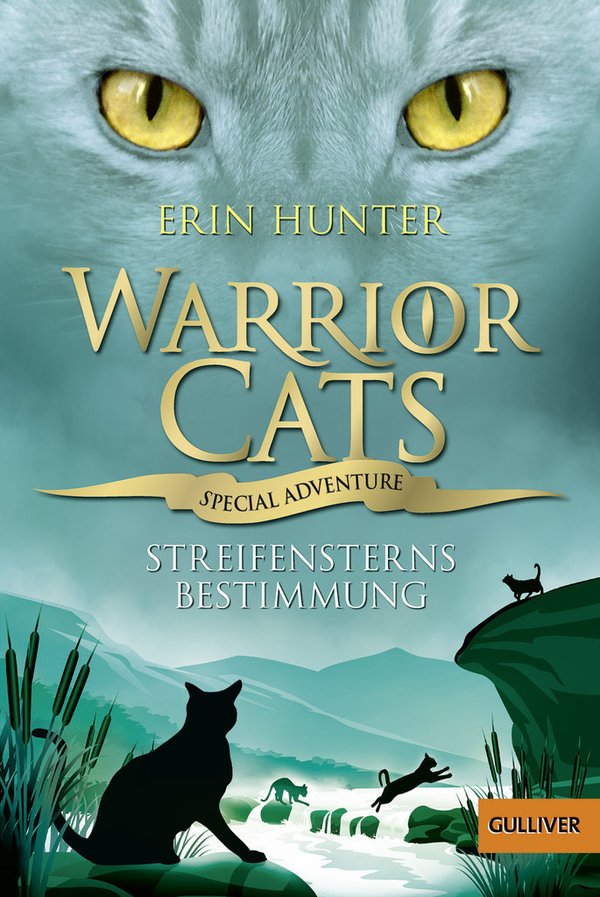 Warrior Cats Special Adventure 4 Streifensterns Bestimmung