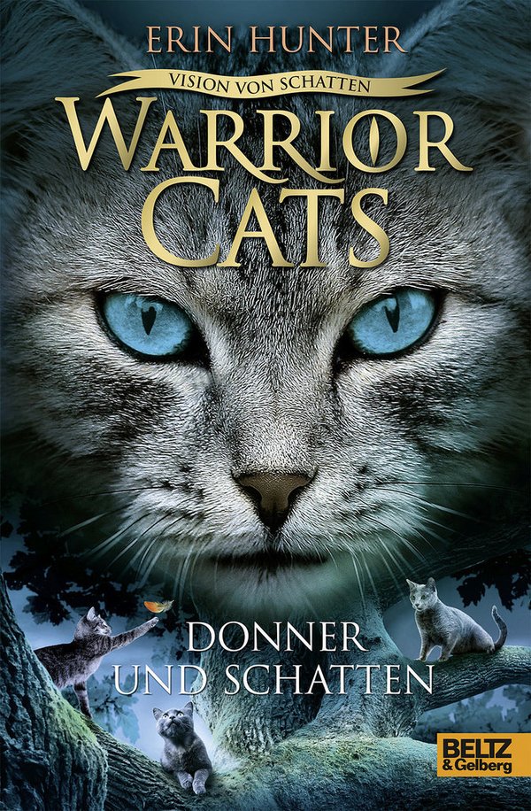 Warrior Cats Staffel 6 Band 2 Donner und Schatten