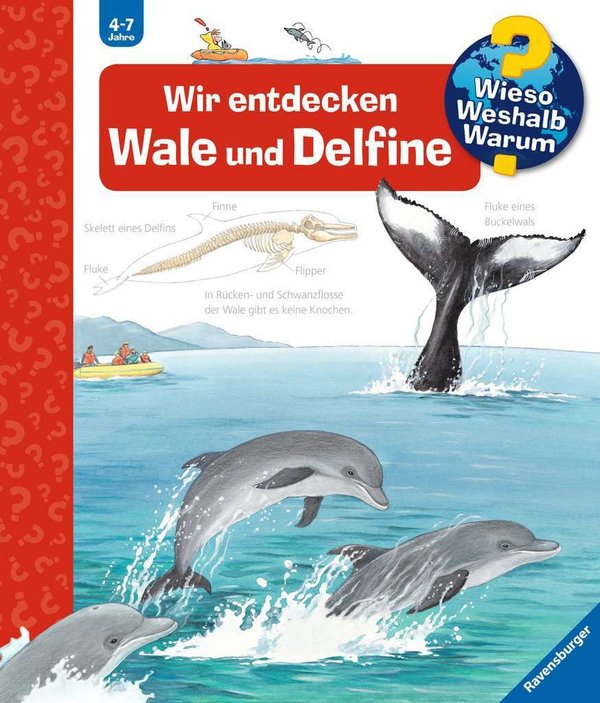 Wieso Weshalb Warum Band 41 Wir entdecken Wale und Delfine