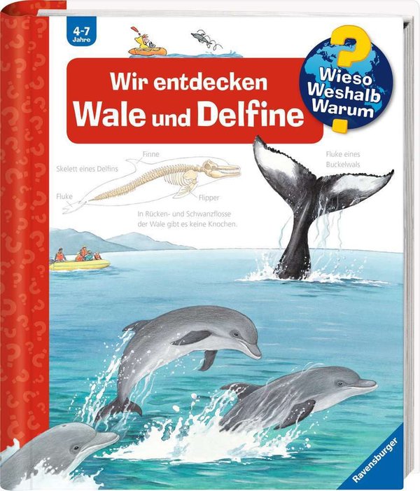 Wieso Weshalb Warum Band 41 Wir entdecken Wale und Delfine