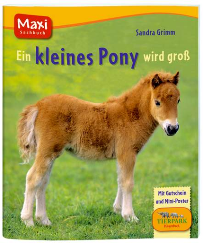 Maxi-Bilderbuch Ein kleines Pony wird groß