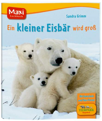 Maxi-Bilderbuch Ein kleiner Eisbär wird groß