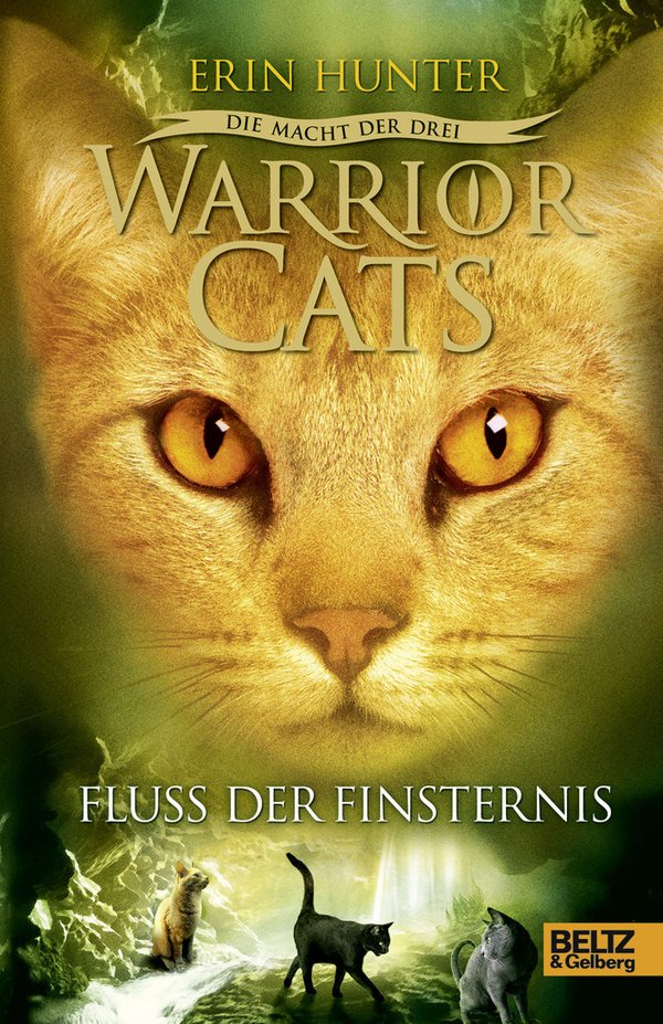 Warrior Cats Staffel 3 Band 2 Fluss der Finsternis