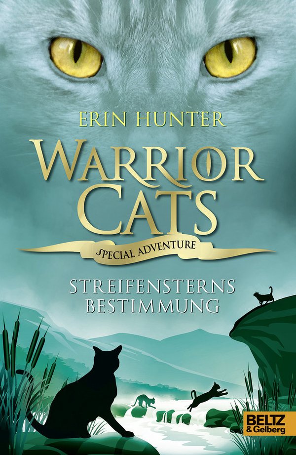 Warrior Cats Special Adventure 4 Streifensterns Bestimmung
