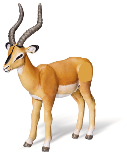 tiptoi Antilope