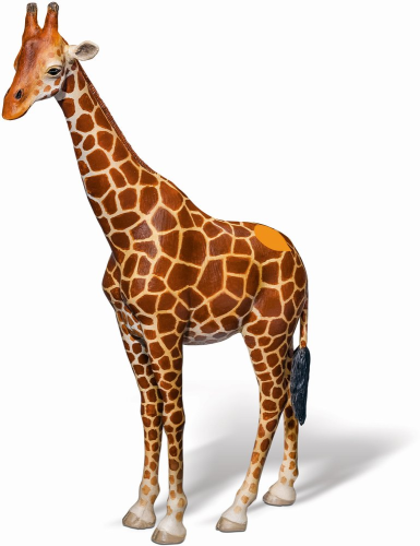 tiptoi Giraffe