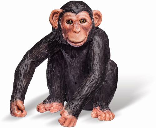 tiptoi Schimpansenjunges Tiere Schimpanse