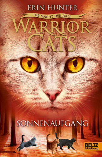 Warrior Cats Staffel 3 Band 6 Sonnenaufgang