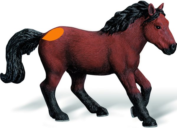 tiptoi Dartmoore Pony