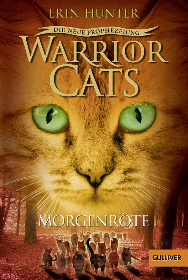 Warrior Cats Staffel 2 Band 3 Morgenröte Taschenbuch
