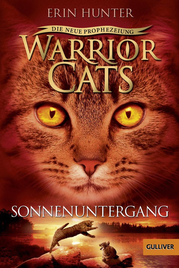 Warrior Cats Staffel 2 Band 6 Sonnenuntergang Softcover
