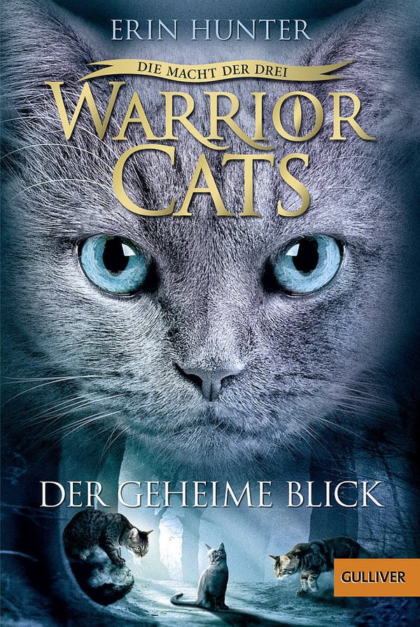 Warrior Cats Staffel 3  Band 1 Der geheime Blick Taschenbuch