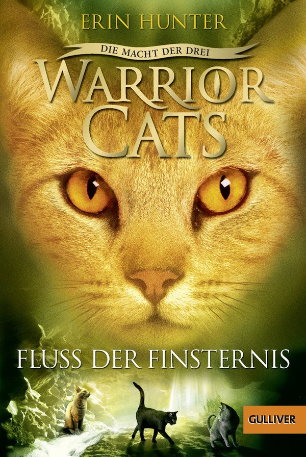 Warrior Cats Staffel 3 Band 2 Fluss der Finsternis Taschenbuch