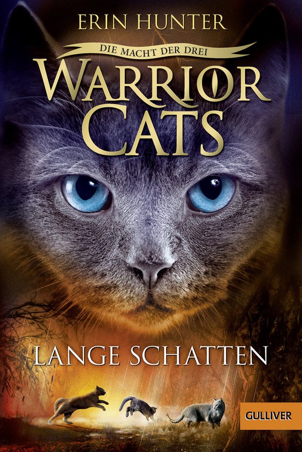 Warrior Cats Serie 3 Band 5 Lange Schatten Taschenbuch
