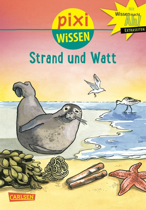Pixi Wissen Band 33 Strand und Watt