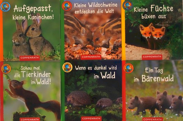 Lino Bücher Serie 71 - 6 Linos Tierkinder Bildergeschichten